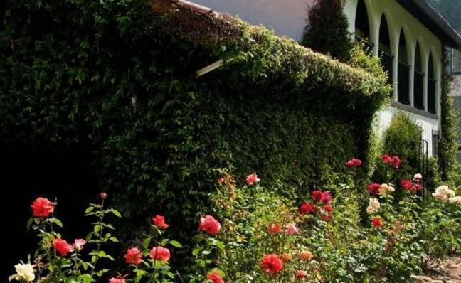 Spanish Villa Inn St. Helena Bagian luar foto