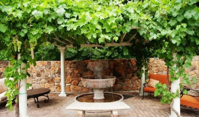 Spanish Villa Inn St. Helena Bagian luar foto